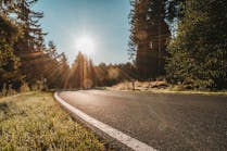 julian-hochgesang-road-trees