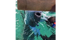 Syntho-Shore-250 Syntho-Shore-250