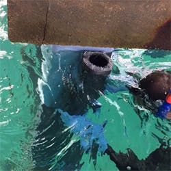 1654806834508 Synthoshore250