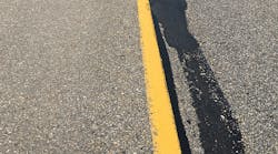 Masitc%20One%20%E2%80%94%20Taken%20in%202020%20following%20two%20full%20winters