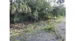 dreamstime_m_340157726 dreamstime_m_340157726